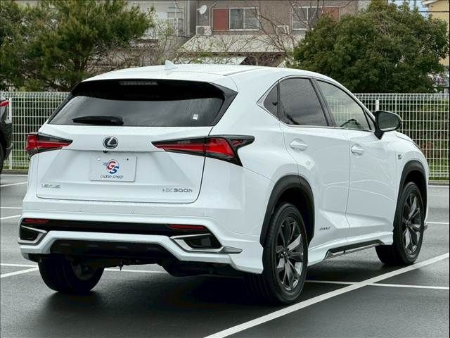 LEXUS NX300h