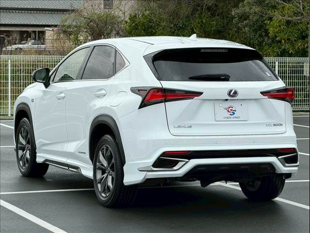 LEXUS NX300h