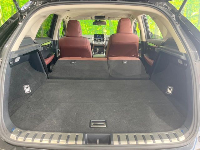 LEXUS NX200t