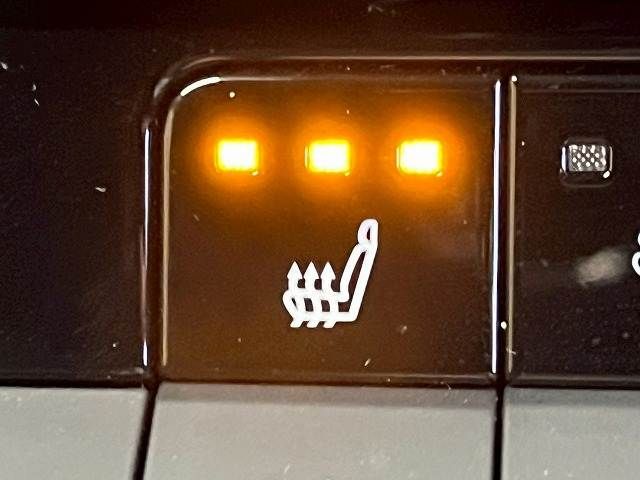 CROWN SPORT