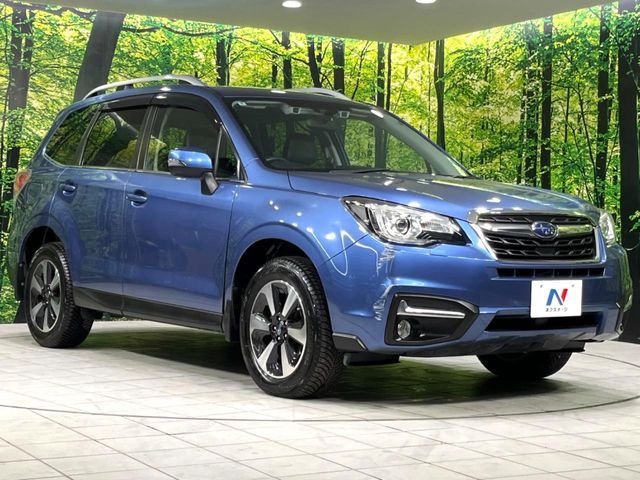 FORESTER