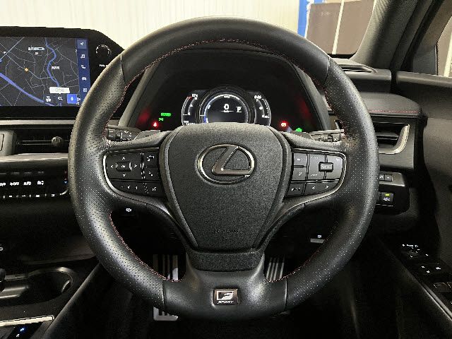 LEXUS UX250h