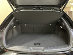 LEXUS UX250h