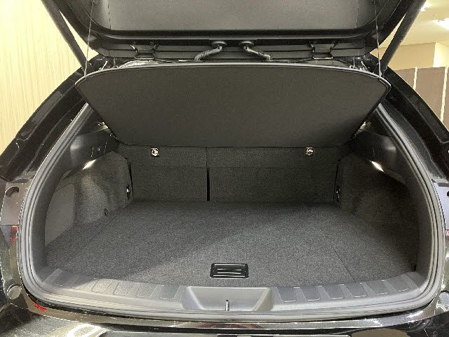 LEXUS UX250h