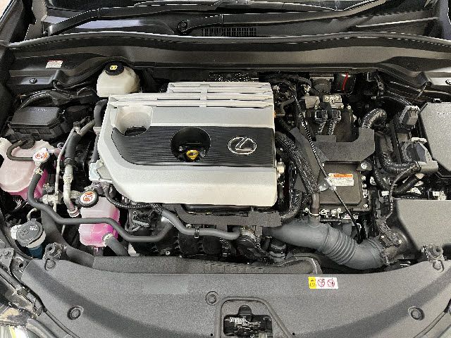 LEXUS UX250h
