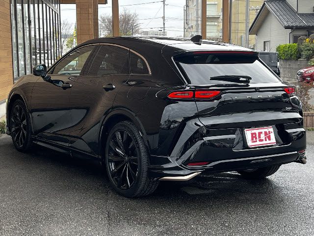 CROWN SPORT