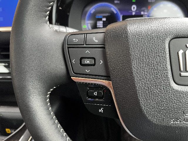 CROWN SPORT