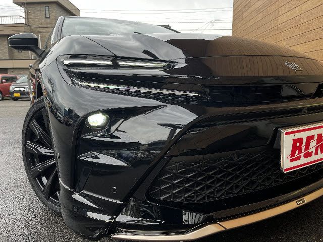 CROWN SPORT