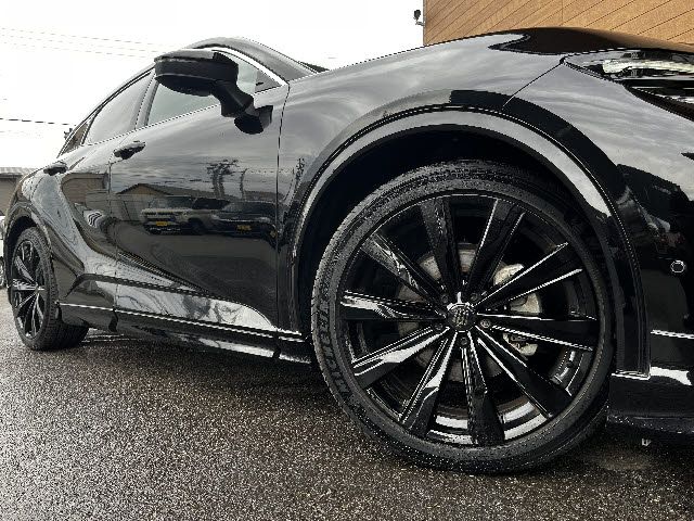 CROWN SPORT