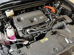 CROWN SPORT