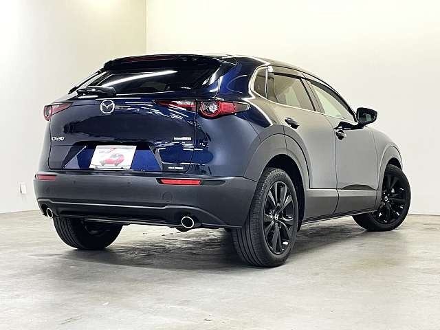 CX-30