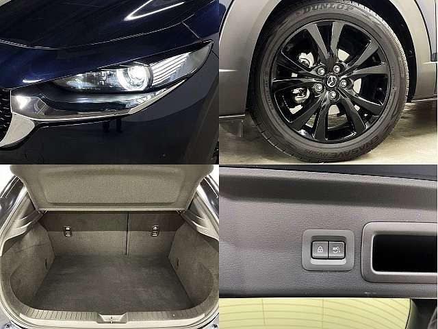CX-30