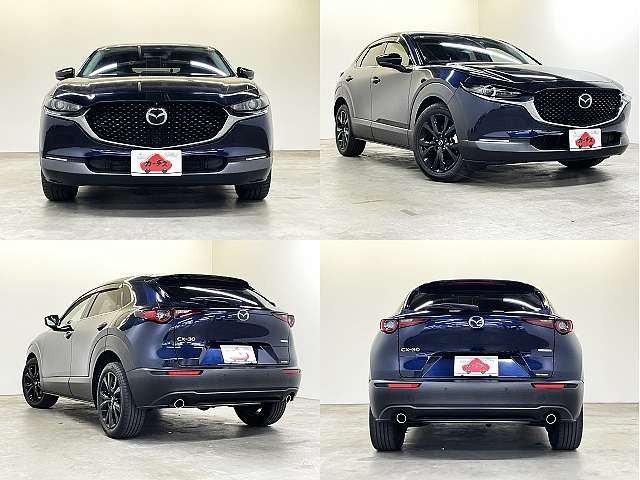 CX-30