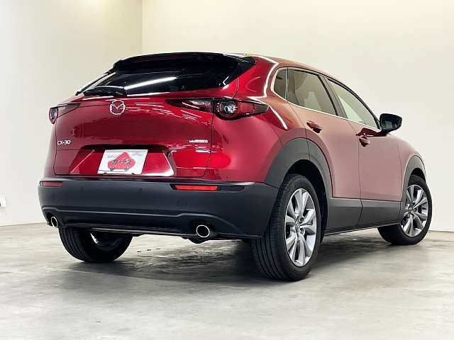 CX-30