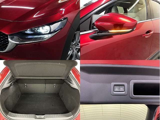 CX-30