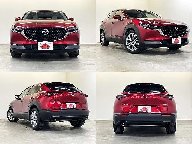 CX-30