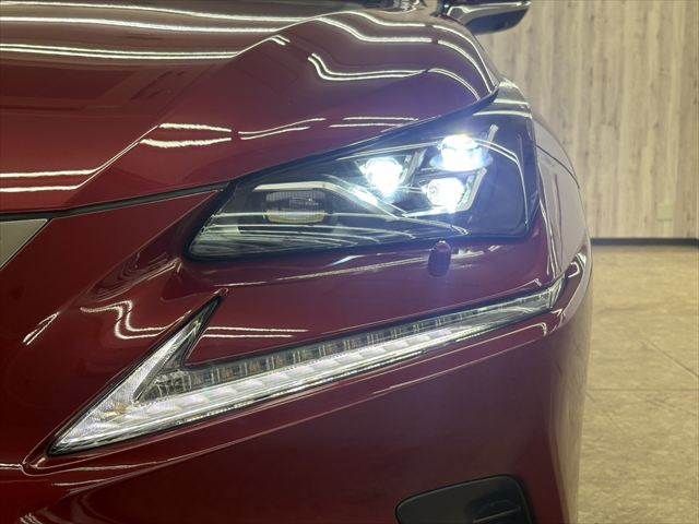 LEXUS NX300h