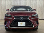 LEXUS NX300h