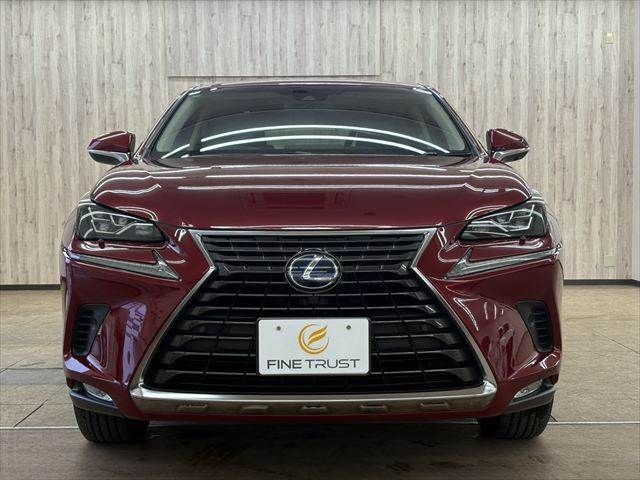 LEXUS NX300h