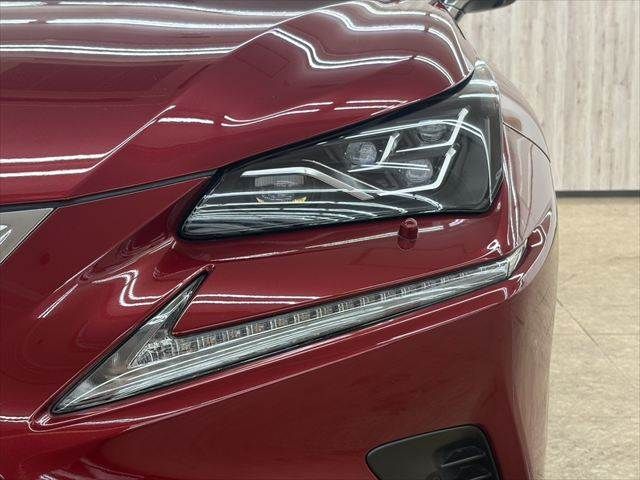 LEXUS NX300h