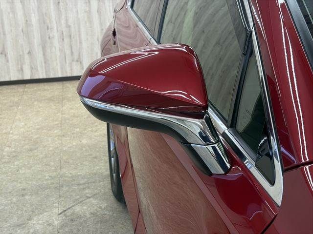 LEXUS NX300h