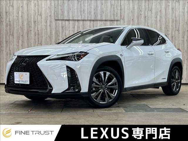 LEXUS UX250h