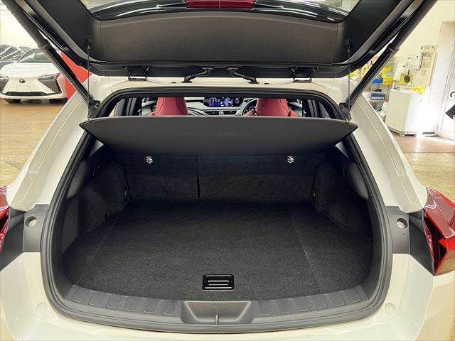 LEXUS UX250h