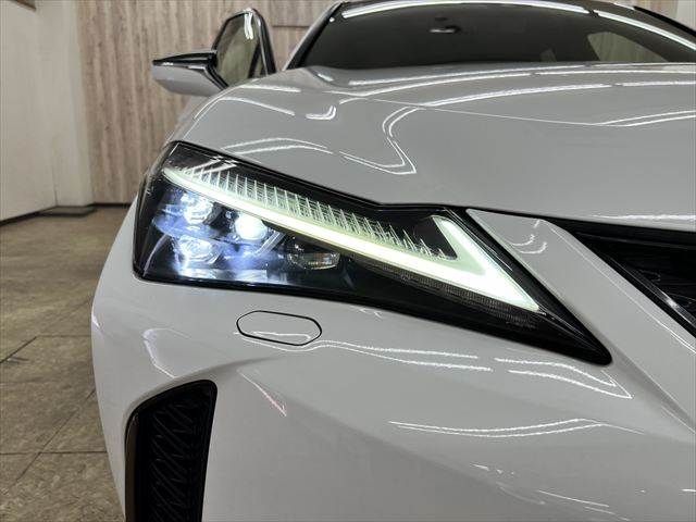 LEXUS UX250h