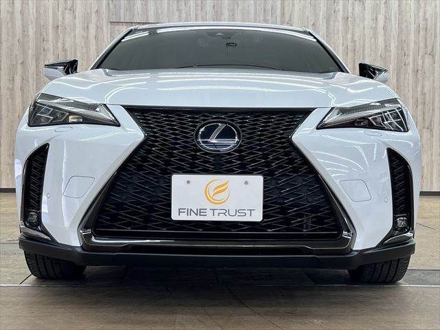 LEXUS UX250h