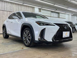 LEXUS UX250h
