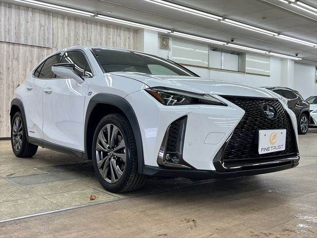 LEXUS UX250h