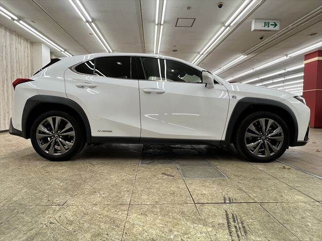 LEXUS UX250h