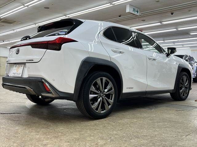 LEXUS UX250h