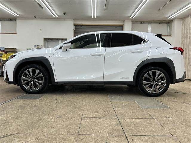 LEXUS UX250h