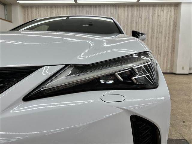 LEXUS UX250h