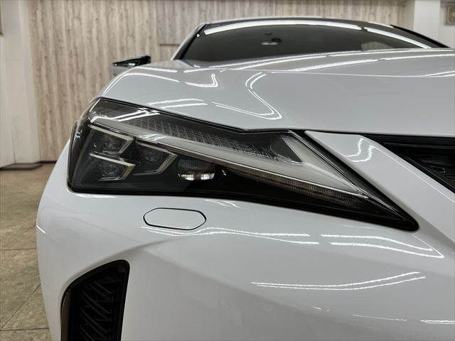 LEXUS UX250h