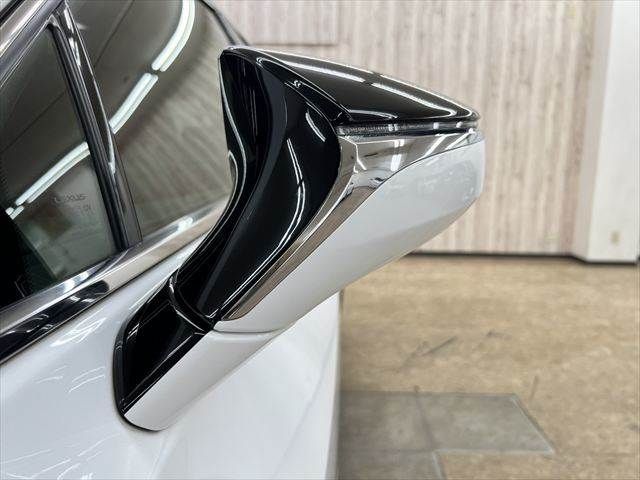 LEXUS UX250h