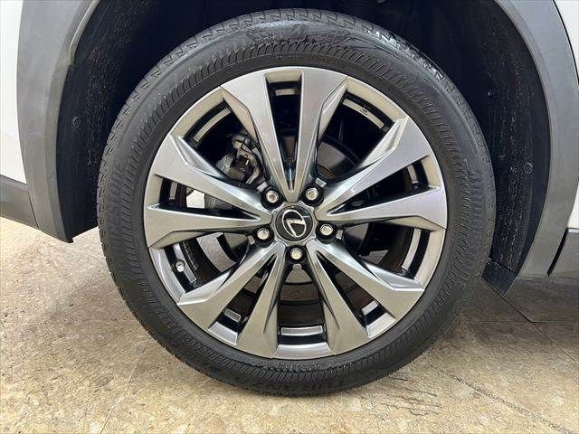 LEXUS UX250h
