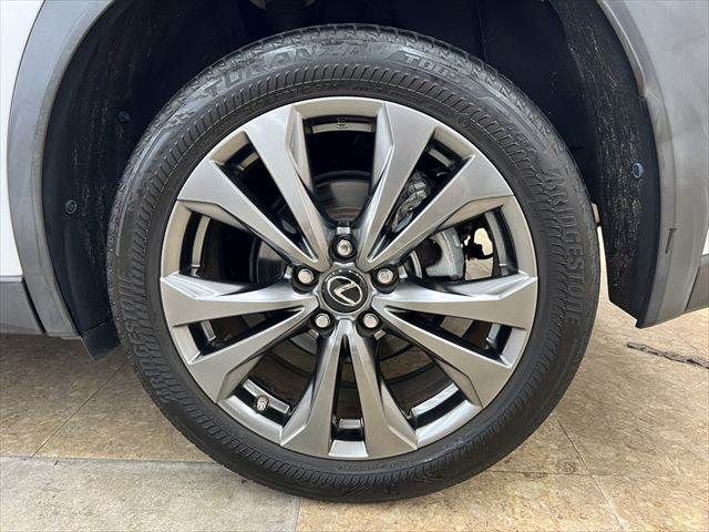LEXUS UX250h