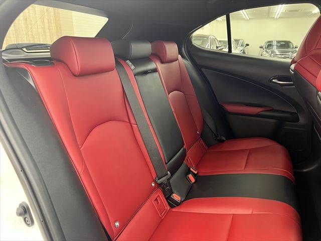 LEXUS UX250h