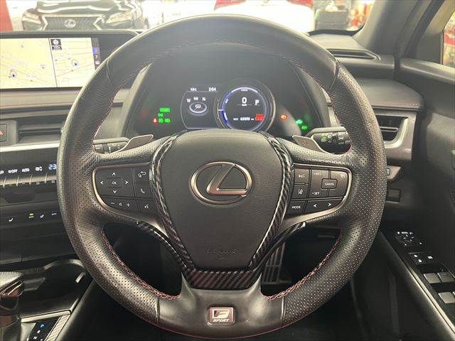 LEXUS UX250h