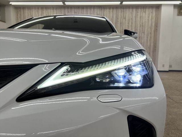 LEXUS UX250h