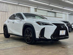 LEXUS UX250h