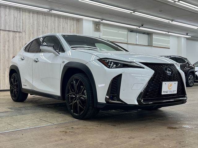 LEXUS UX250h