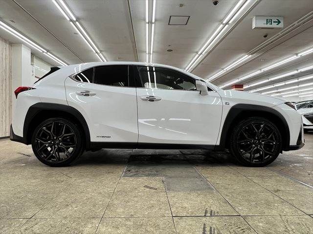 LEXUS UX250h