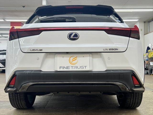 LEXUS UX250h
