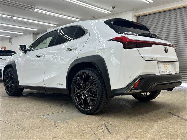 LEXUS UX250h