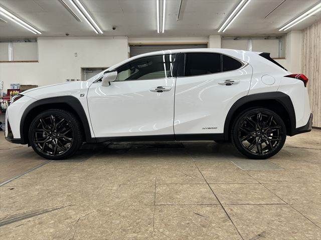 LEXUS UX250h