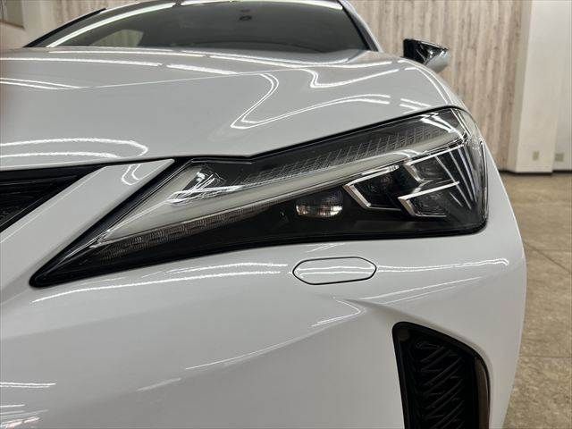LEXUS UX250h