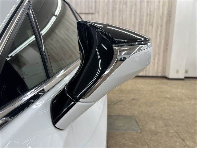 LEXUS UX250h